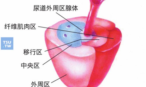 盾翅藤的药用网- 盾翅藤的药用功效知识,分享盾翅藤的副作用